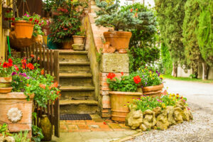 Las 8 mejores plantas para decorar la entrada de tu casa en primavera y verano