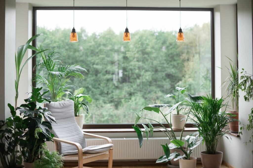 Decoración biofílica, conecta tu hogar con la naturaleza