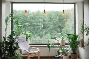 Decoración biofílica, conecta tu hogar con la naturaleza